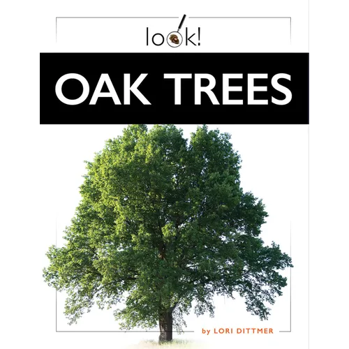 Oak Trees