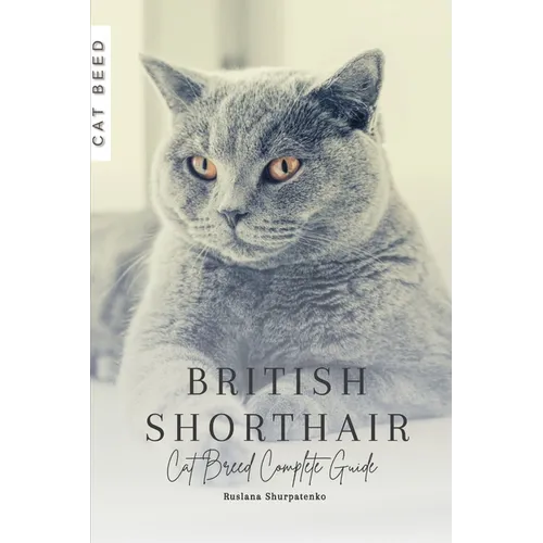 British Shorthair: Cat Breed Complete Guide