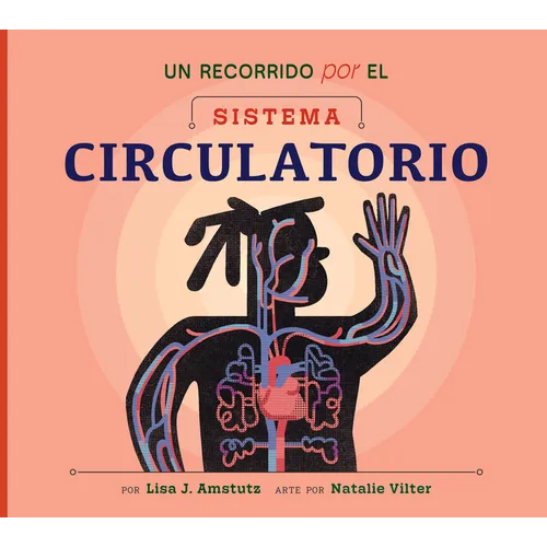 Un Recorrido Por El Sistema Circulatorio