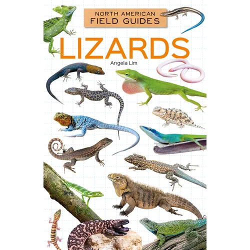 Lizards