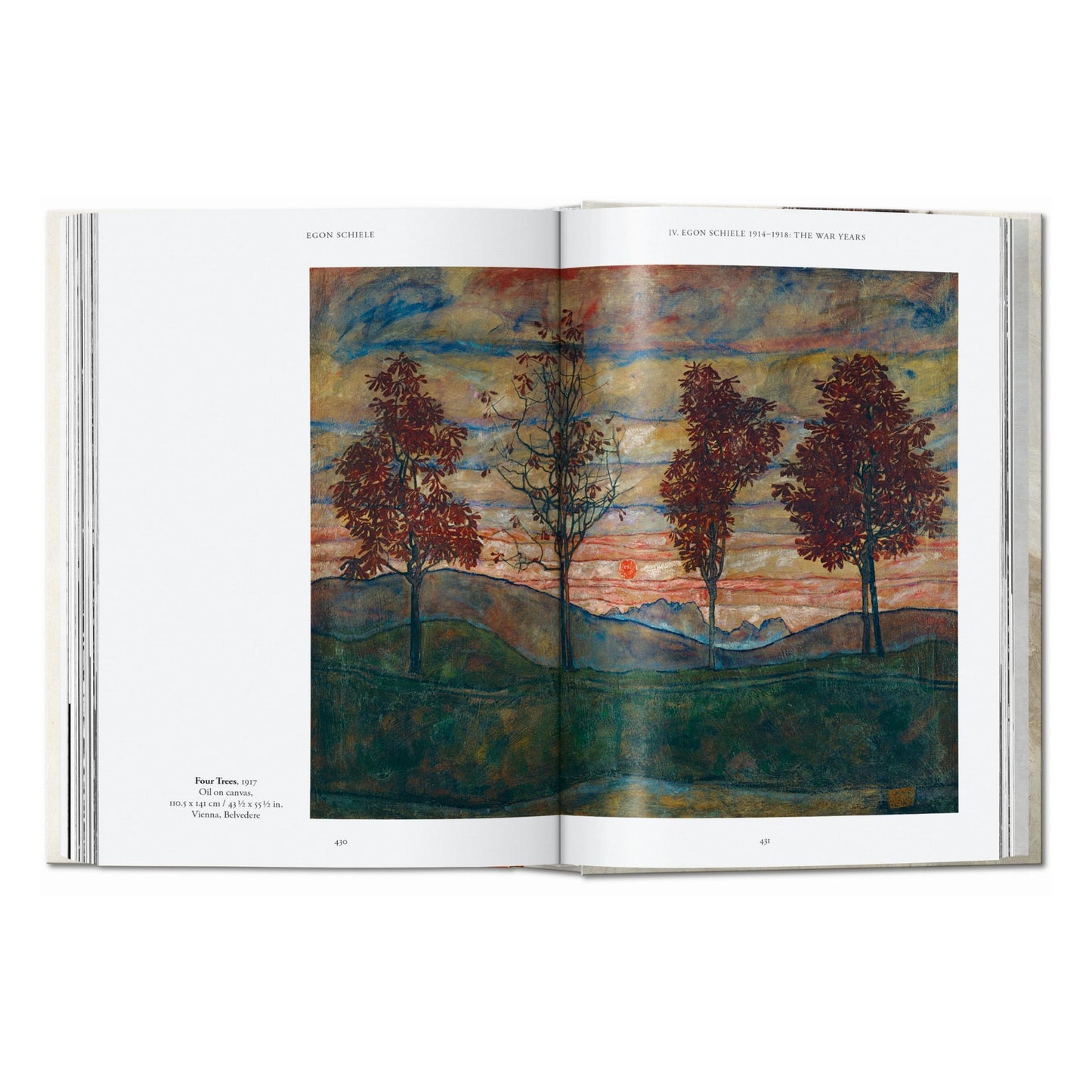 Egon Schiele. The Paintings. 45th Ed. (English) Book