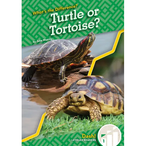 Turtle or Tortoise?