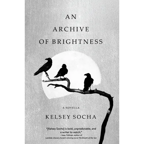 An Archive of Brightness