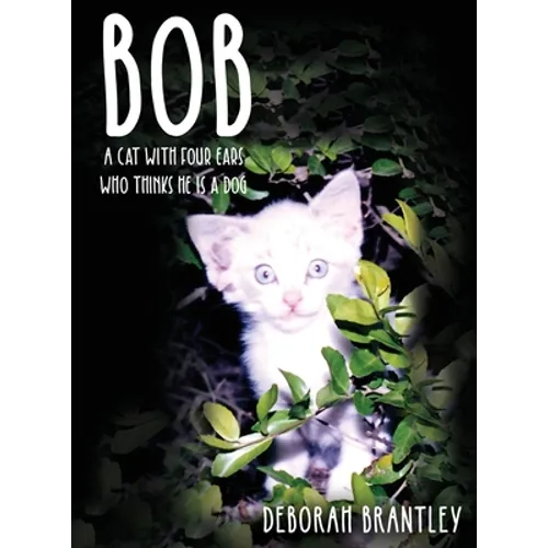 Bob: A Cat with Four Ears Who Thinks He Is a Dog