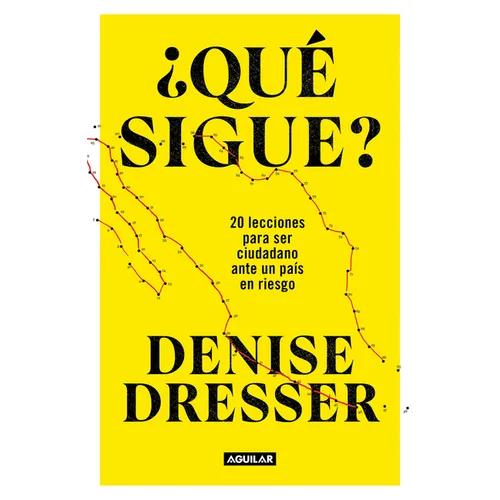 ¿Qué Sigue?: 20 Lecciones Para Ser Ciudadano Ante Un País En Riesgo / What's Next ? Twenty Lessons for Citizens in a Country at Risk