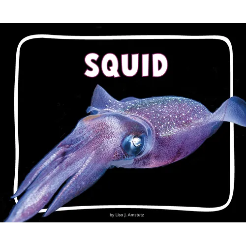 Squid