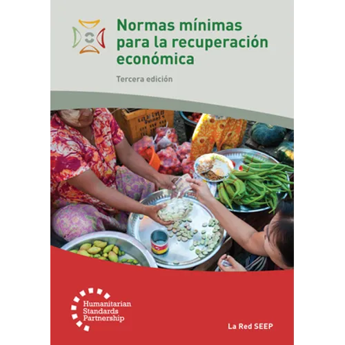 Normas Mínimas Para La Recuperación Económica 3rd Edition