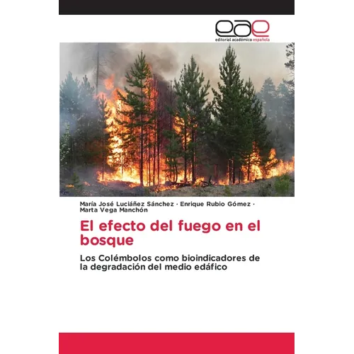 El efecto del fuego en el bosque