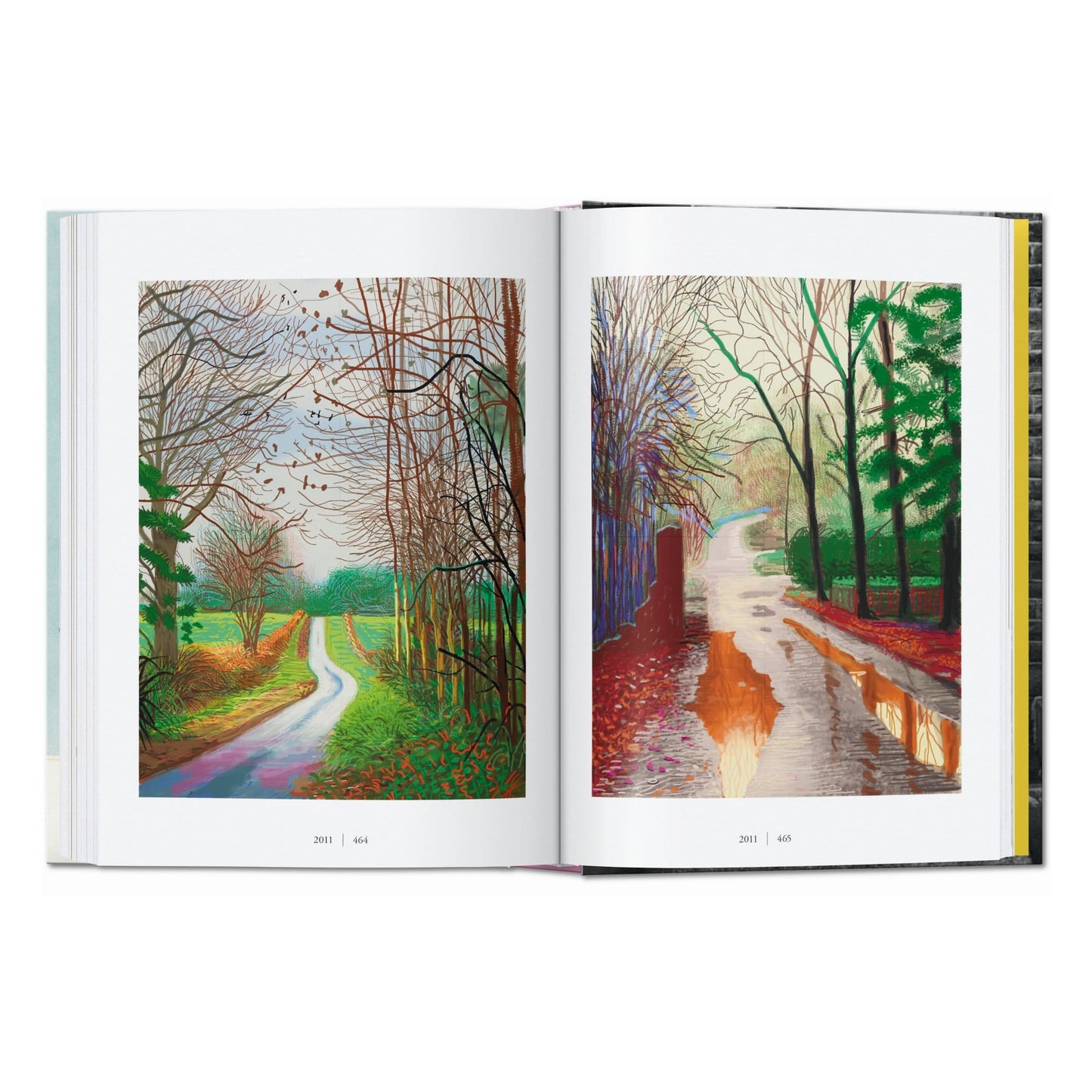 David Hockney. A Chronology. 45th Ed. (English) Book
