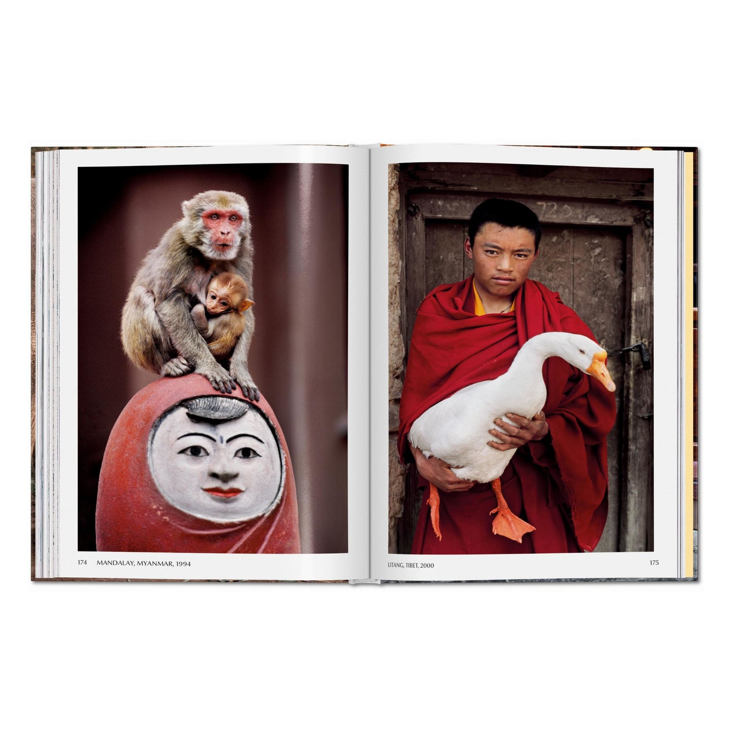 Steve McCurry. Animals (English) Book