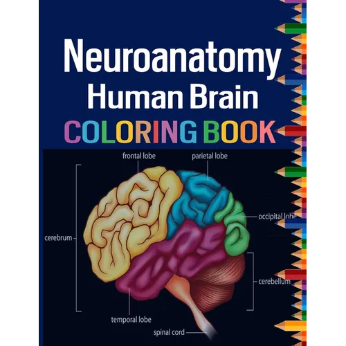 Neuroanatomy Human Brain Coloring Book: Colorful introduction to the anatomy of the human brain model for neuroscience