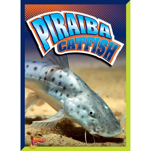 Piraiba Catfish