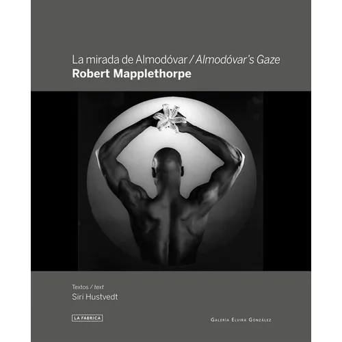 Robert Mapplethorpe: Almodóvar's Gaze