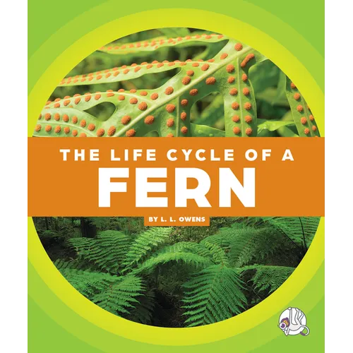 The Life Cycle of a Fern