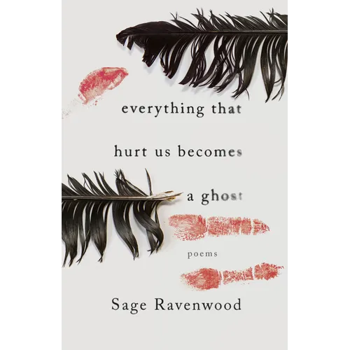 Everything That Hurt Us Becomes a Ghost: Poems