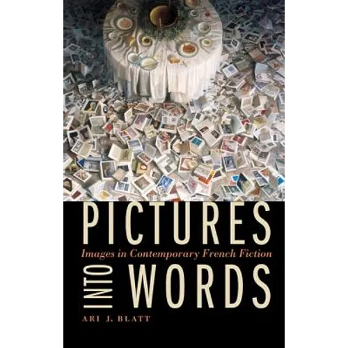 Pictures Into Words: Images in Contemporary French Fiction - Hardcover