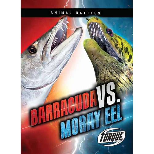 Barracuda vs. Moray Eel