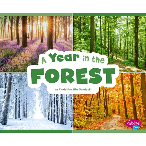 A Year in the Forest