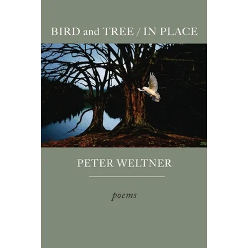 BIRD and TREE / IN PLACE