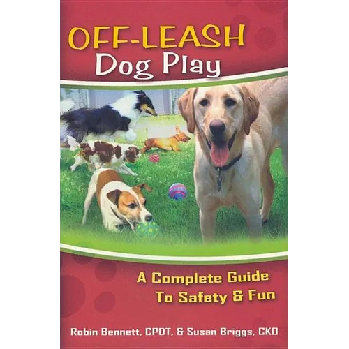 Off-Leash Dog Play: A Complete Guide to Safety and Fun