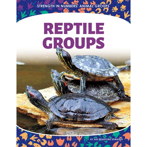 Reptile Groups