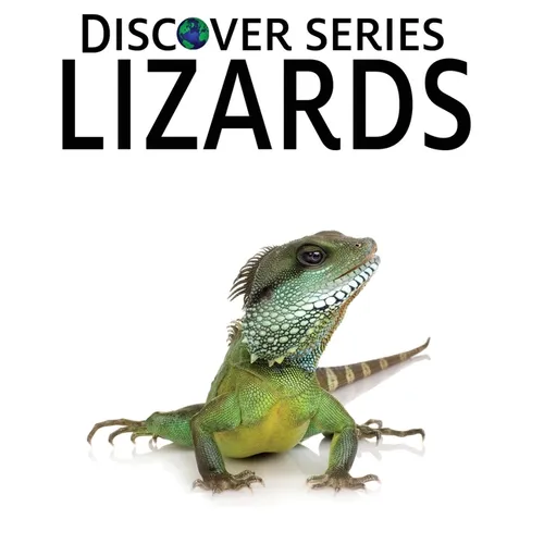 Lizards