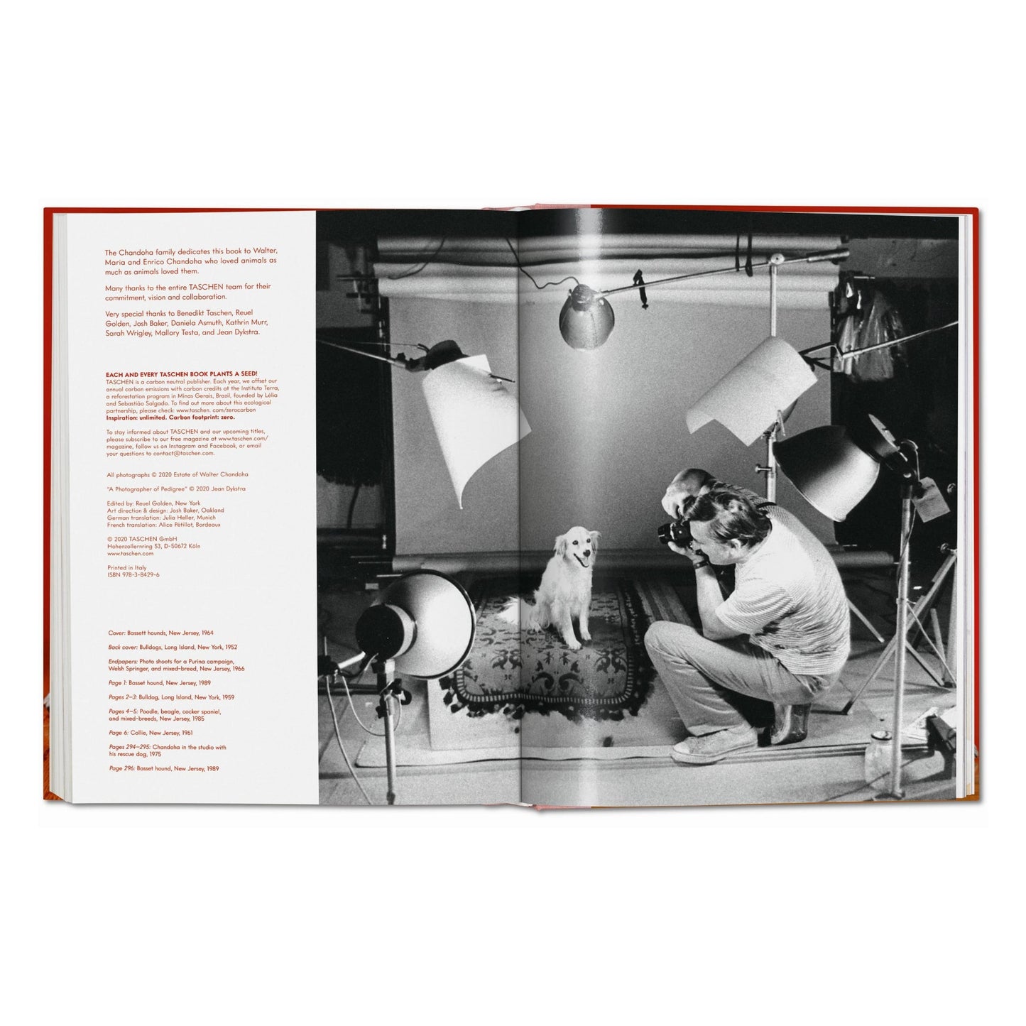 Walter Chandoha. Dogs. Photographs 1941–1991 (German, French, English) Book