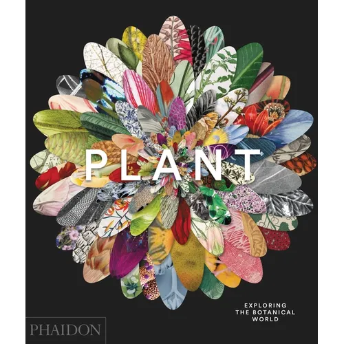 Plant: Exploring the Botanical World
