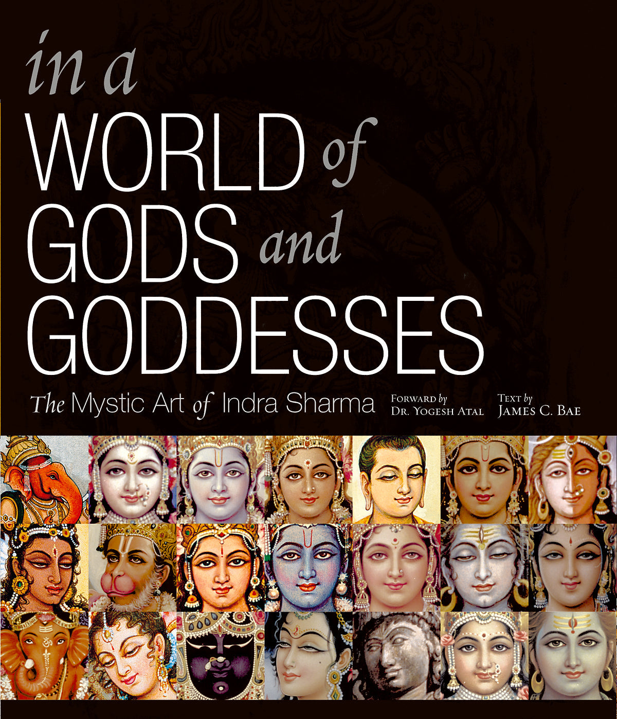 In a World of Gods and Goddesses Hardcover Book
