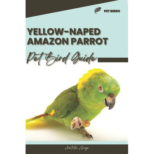 Yellow-Naped Amazon Parrot: Pet bird guide