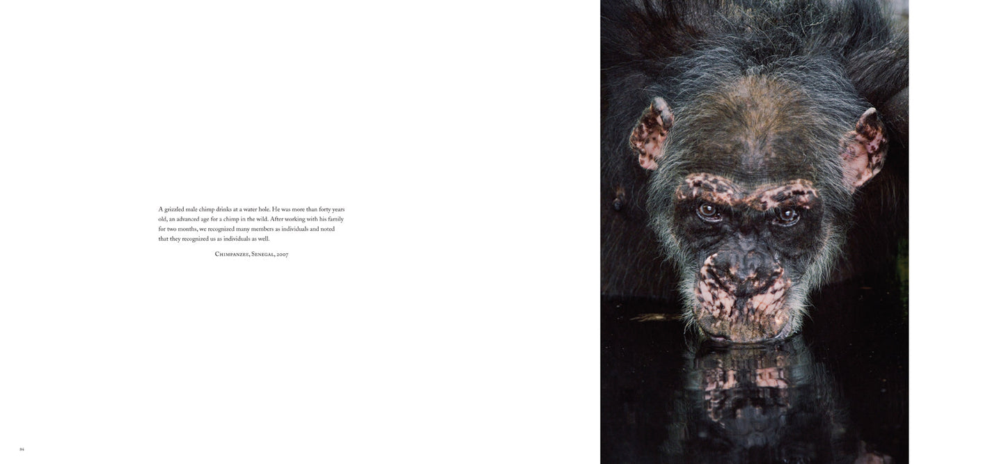 Into Africa Hardcover Book