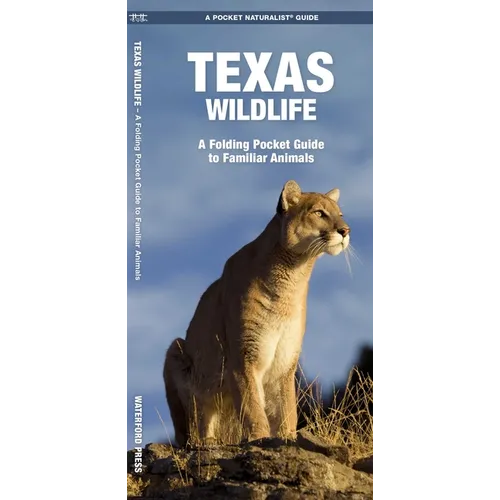 Texas Wildlife: An Introduction to Familiar Species