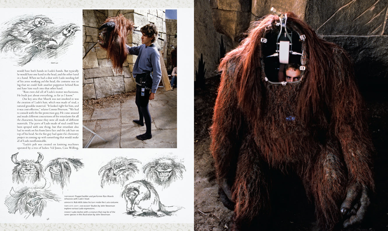 Labyrinth: The Ultimate Visual History Hardcover Book
