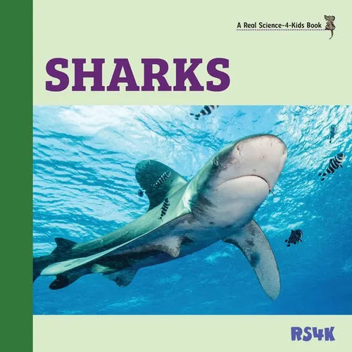 Sharks