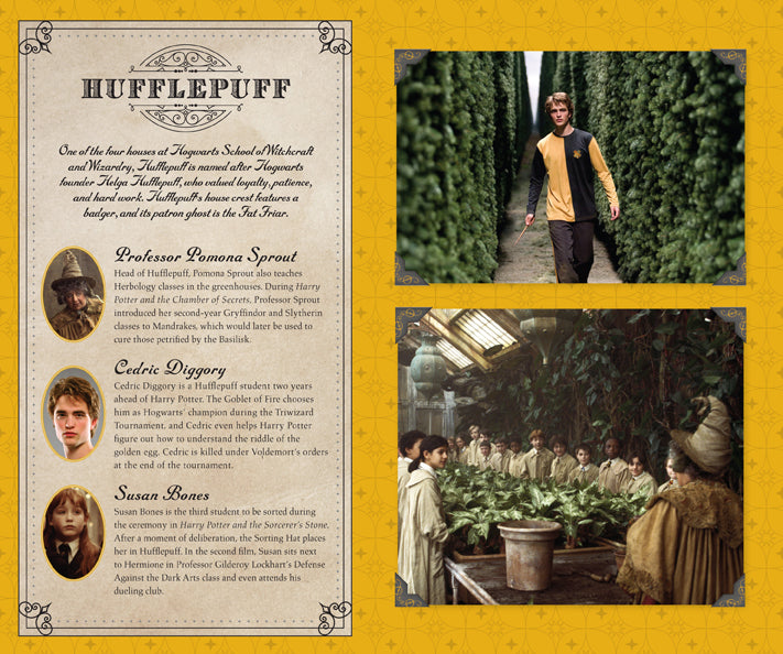 Harry Potter: Hufflepuff Hardcover Ruled Journal Hardcover Book