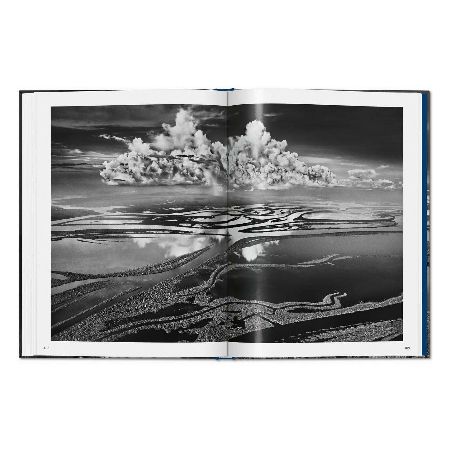 Sebastião Salgado. Amazônia (English) Book