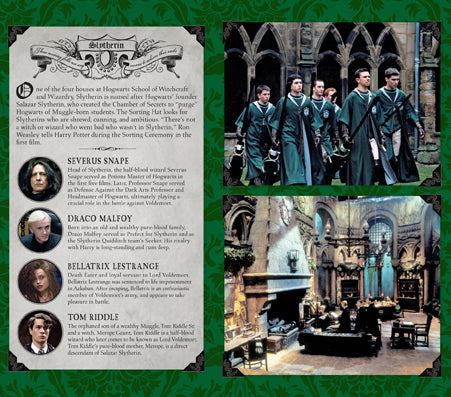 Harry Potter: Slytherin Ruled Pocket Journal Hardcover Book