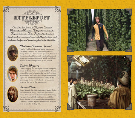 Harry Potter: Hufflepuff Ruled Pocket Journal Hardcover Book