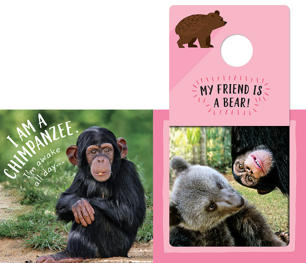 The Safari Circle: Animal Pals Hardcover Book