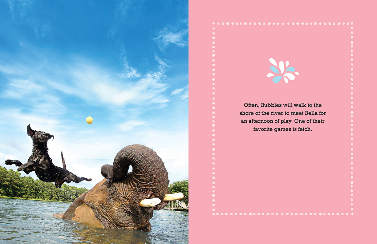 Bubbles Hardcover Book