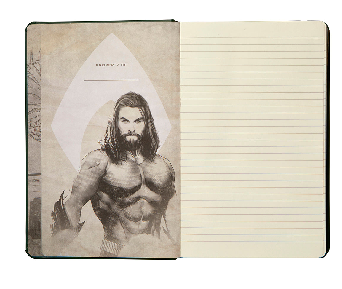 Aquaman Hardcover Ruled Journal Hardcover Book