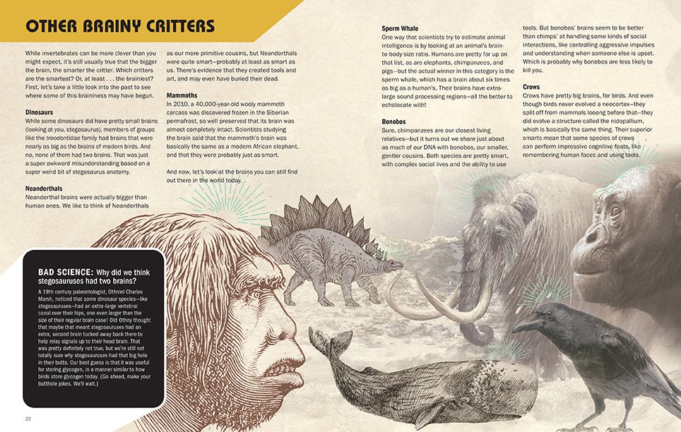 Brains Explained Hardcover Book