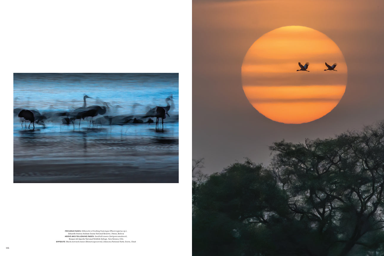 Night on Earth Hardcover Book