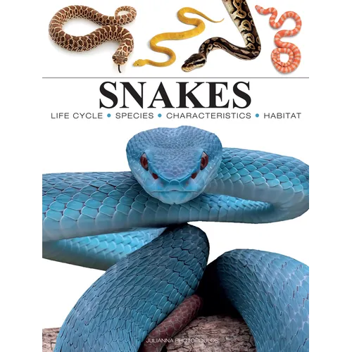 Snakes: From Vipers to Boa Constrictors