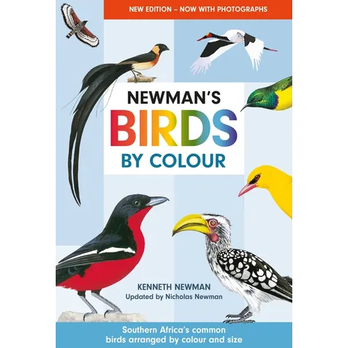 Newman's Birds by Colour: Southern Africa's Common Birds Arranged by Colour and Size