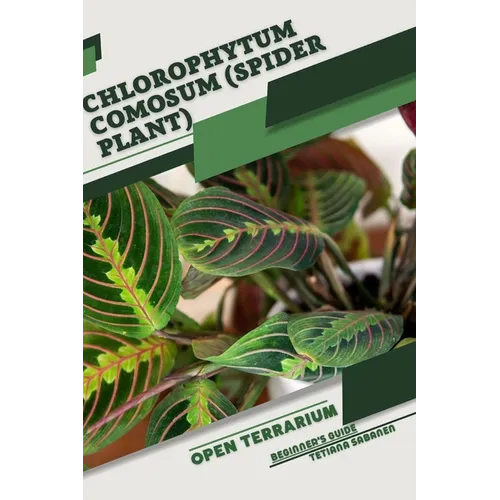 Chlorophytum comosum (Spider Plant): Open terrarium, Beginner's Guide