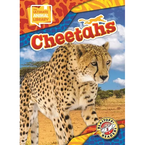 Cheetahs