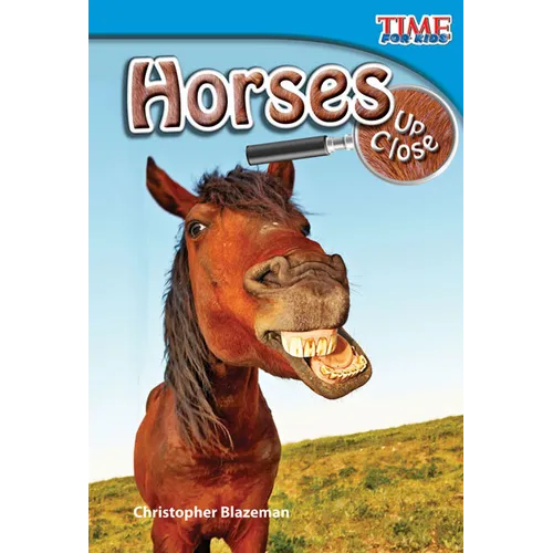 Horses Up Close