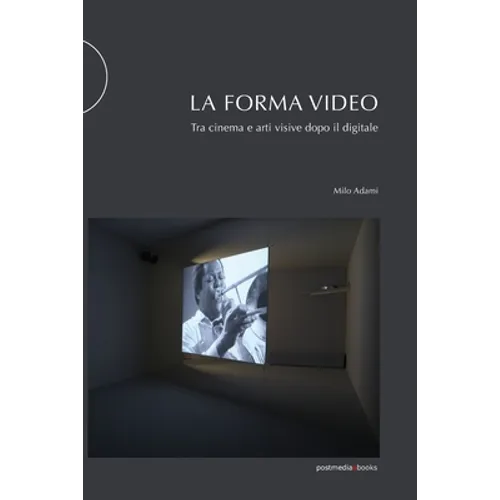 La forma video: Tra cinema e arti visive dopo il digitale