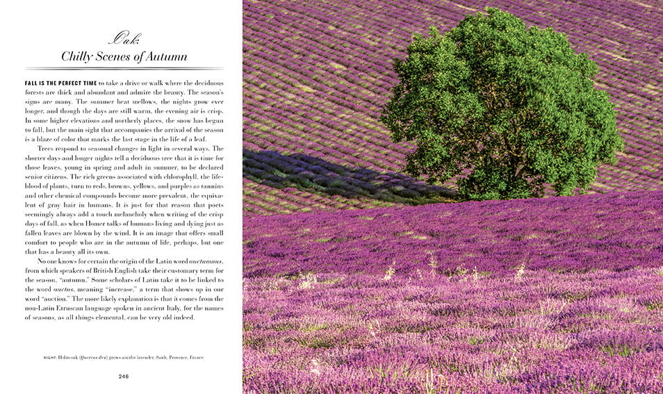 Trees Hardcover Book